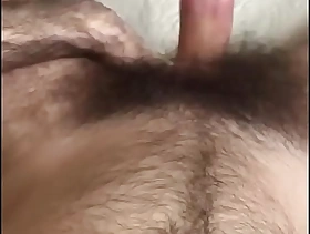 Pau Lindo Mega Peludo